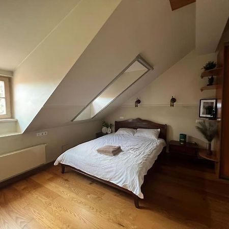 Old Town Apartment With Free Parking Vilnius Exteriör bild