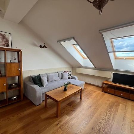 Old Town Apartment With Free Parking Vilnius Exteriör bild