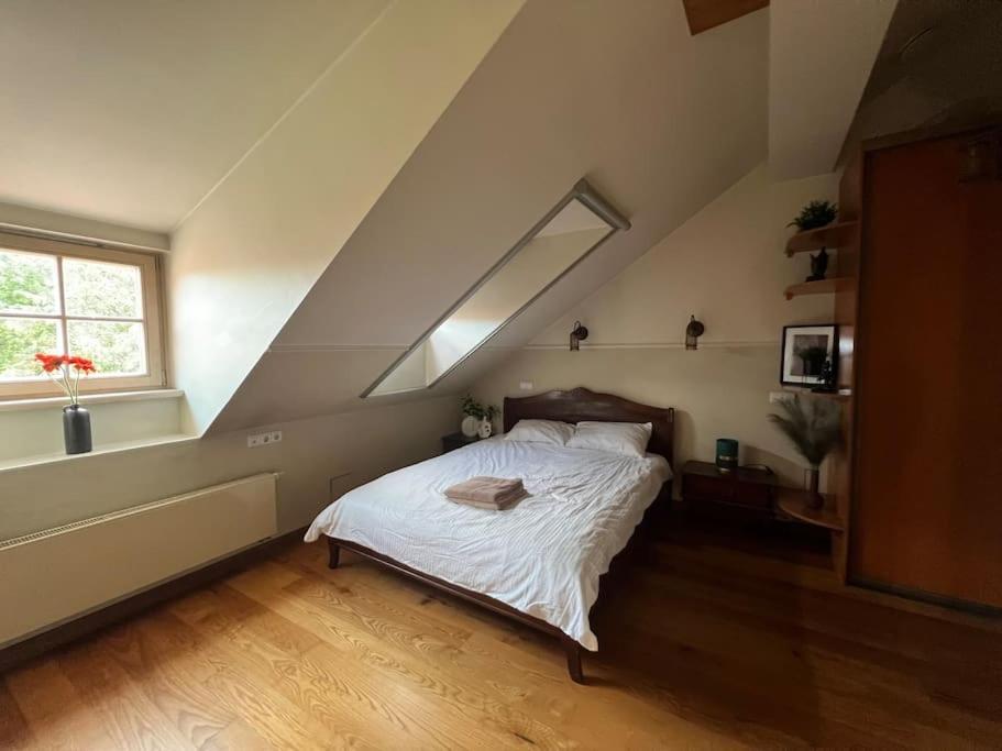 Old Town Apartment With Free Parking Vilnius Exteriör bild