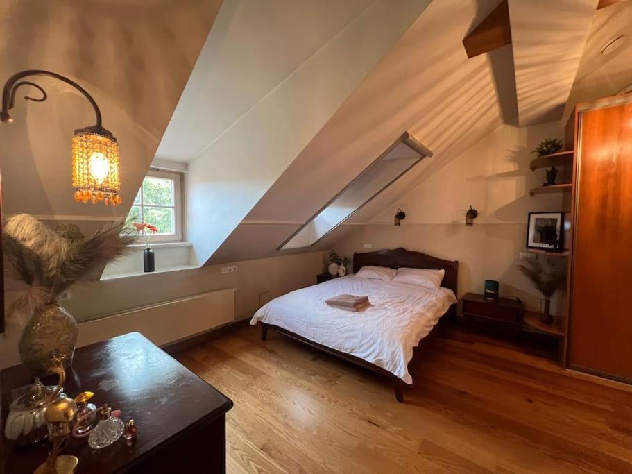 Old Town Apartment With Free Parking Vilnius Exteriör bild
