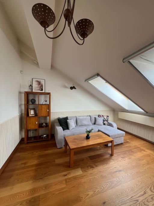 Old Town Apartment With Free Parking Vilnius Exteriör bild
